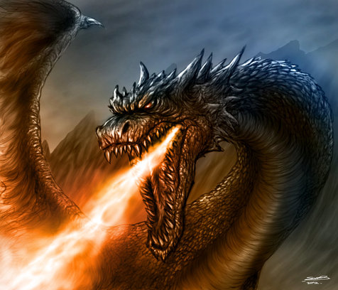 pictures of fire dragons